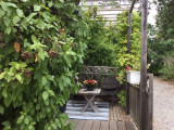 Terrasse côté entrée