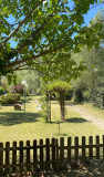 Mini-golf