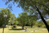 Mini-golf
