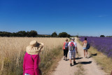 Visit winery and lavender farm