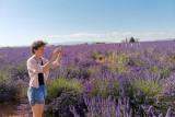 Visit winery and lavender farm