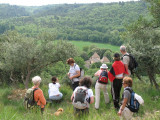 Sur le bord du plateau