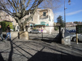 Micocouliers 9