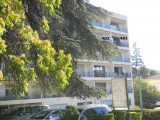 Les cèdres