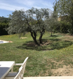 LA SALUADE