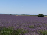 Bastides 26