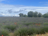 Alentour