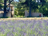 Entrée du Mas Les Cistes de Provence