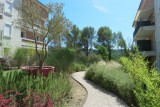 Jardin intérieur