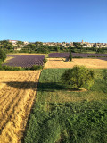 Vols en montgolfière