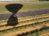 Vol en montgolfière