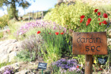 Le jardin sec