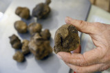 La Truffe noire de Villedieu