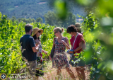 Visite du Château Saint Jean & dégustation_Manosque