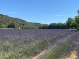 Alentours à 100 mètres