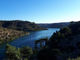 lac