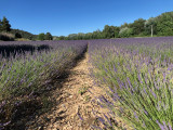 Alentours à 100 m