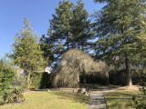 Jardin 2