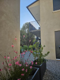 41c401bb3aa532972e1b.jpg