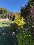 Vue jardin
