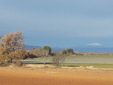 Vue sur le Mont-Ventoux