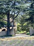 Mas les Cistes de provence