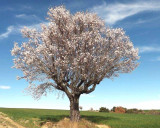 sentiers de randonnés tout proche - © DR Cucchietti sentiers de randonnés tout proche