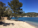 Plage Lac d'Esparron