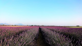 hébergement Valensole location