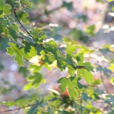 Confort et Lumière entre Luberon et Verdon Confort et Lumière entre Luberon et Verdon