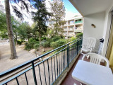 Cèdres 113