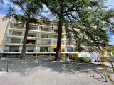 Cèdres 306