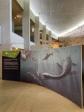 Exposition Temporaire 