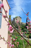 Le repaire des muses, Gréoux, Chateau