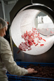 Visite d'usine Doucet_Oraison