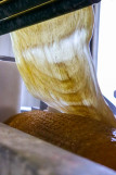Visite d'usine Apior_Valensole