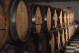 Domaine de la Blaque_Pierrevert
