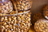 Les Grandes Marges_Valensole