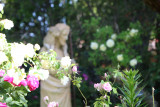Abbaye en rose Abbaye en rose
