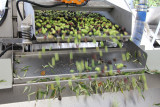 Visite de Terres de Bonaventure_Valensole