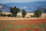 Alentours - © DR Fabienne Fugon Alentours