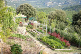 Visite guidée du Jardin de l'abbaye de Valsaintes_Simiane-la-Rotonde - © Abbaye de Valsaintes Visite guidée du Jardin de l'abbaye de Valsaintes_Simiane-la-Rotonde