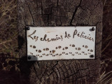 Sortie buissonnière