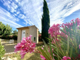 cabanon - © DR LE MAS FLEURI cabanon