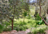 Jardin vue 2 - © DR Fanny Jardin vue 2