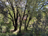 Jardin vue 1 - © DR Fanny Jardin vue 1