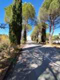 Allée