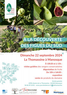 Journée figues