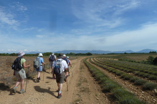 Une randonnée facile et agréable, avec de vastes horizons