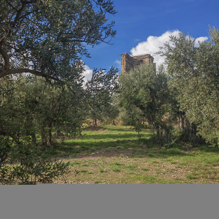 Balade littéraire JEP Jean Giono et le Mont d'Or_Manosque